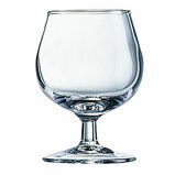 Gin-Glas Arcoroc Degustacion Durchsichtig Glas 12 150 ml 12 Stück