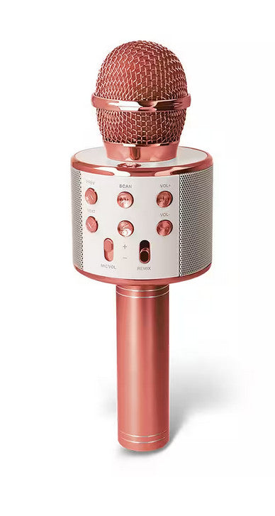 Bluetooth-Mikrofon mit Lautsprecher Karaoke