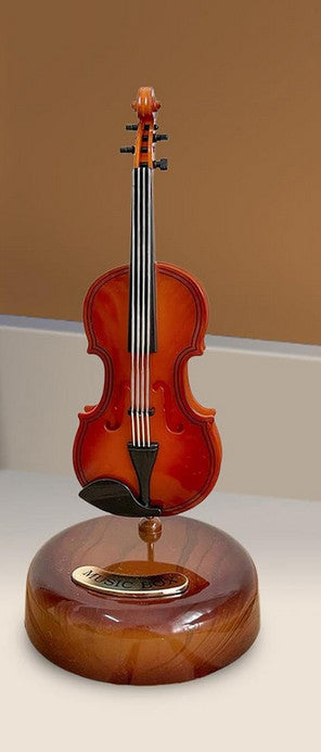 Musikinstrument-Display-Set - dekorative Klassische Spieluhr