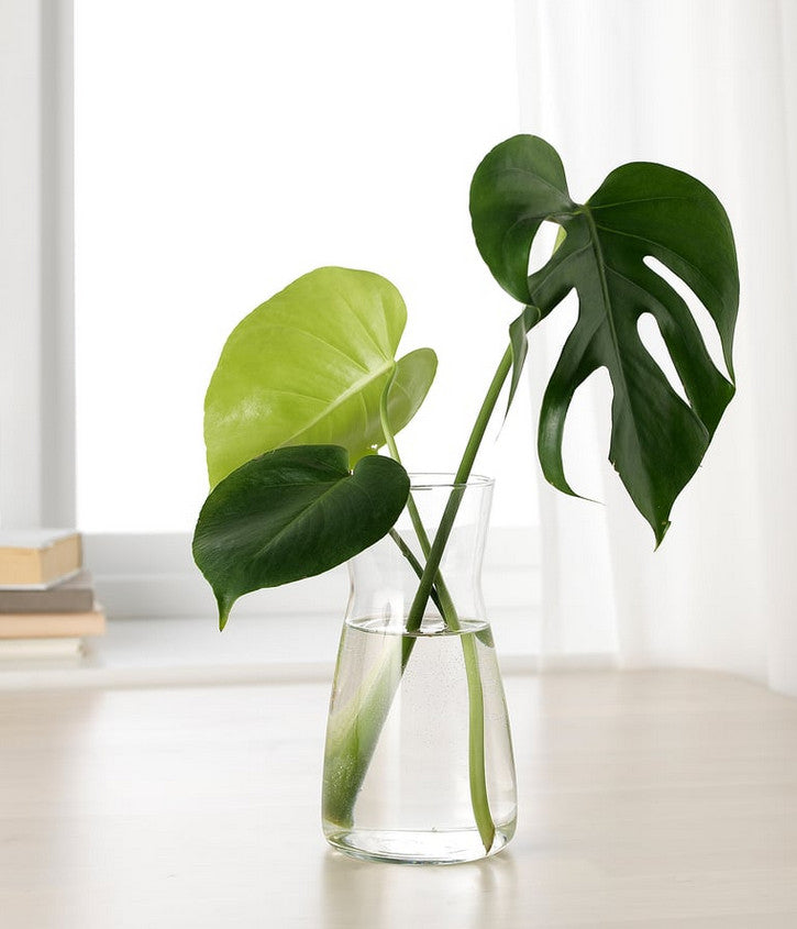 Vase Karaffe, Klarglas, 1.0 l